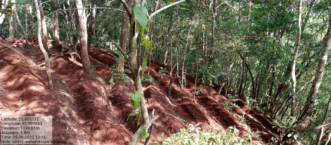 C:\Users\Lavinia Pde\Downloads\WhatsApp Image 2023-02-02 at 10.04.45.jpeg